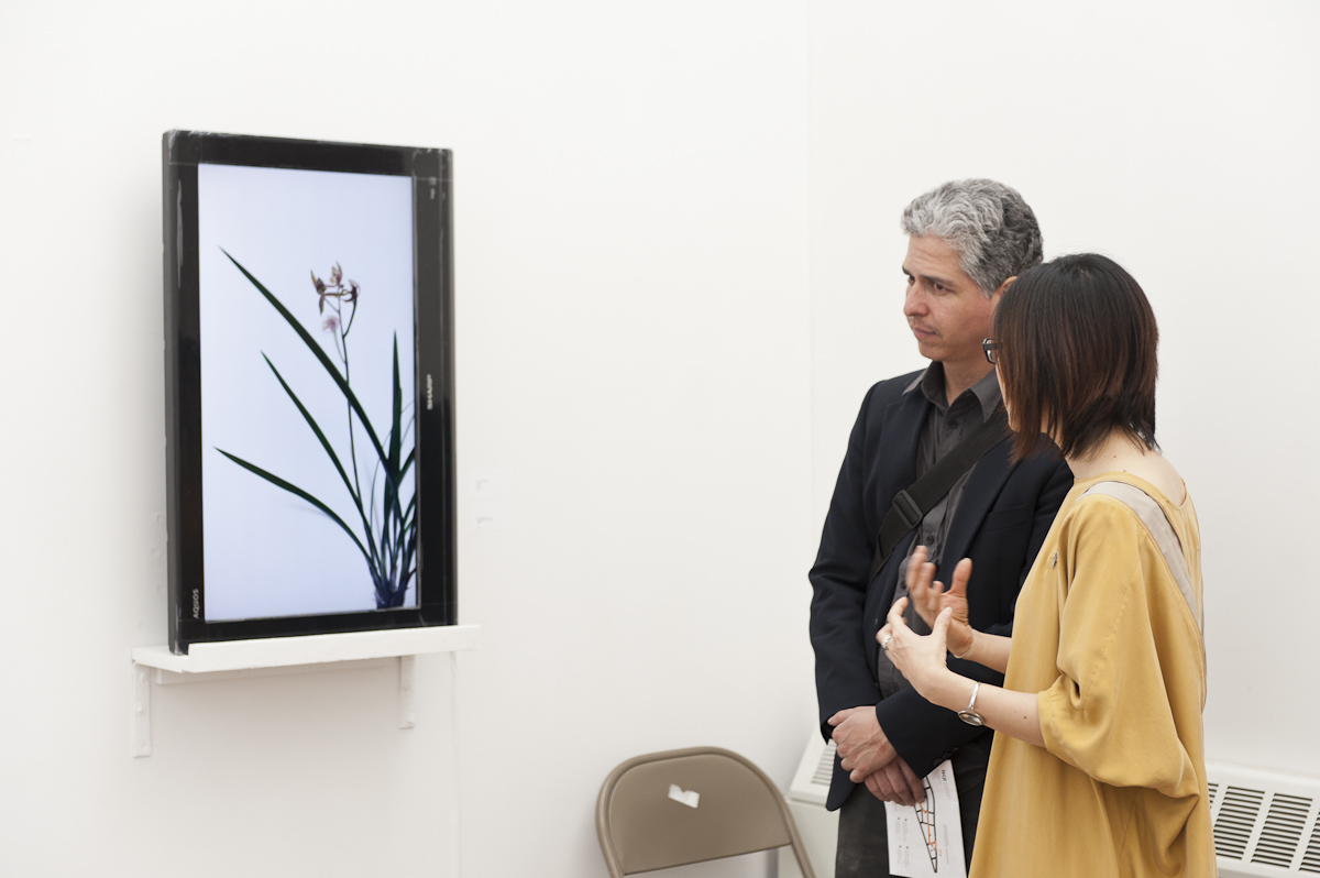 Figure 3: “Paradise: Under Re-construction” exhibited single-channel video “Still Life 002 – Orchid” by Wu Chi-Tsung.