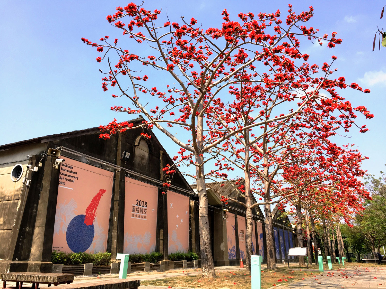 Siao-Long Cultural Park: front door, kapok trees. 
