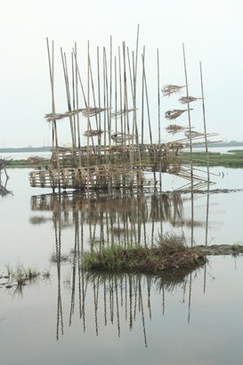 成龍溼地國際環境藝術計畫展覽空間