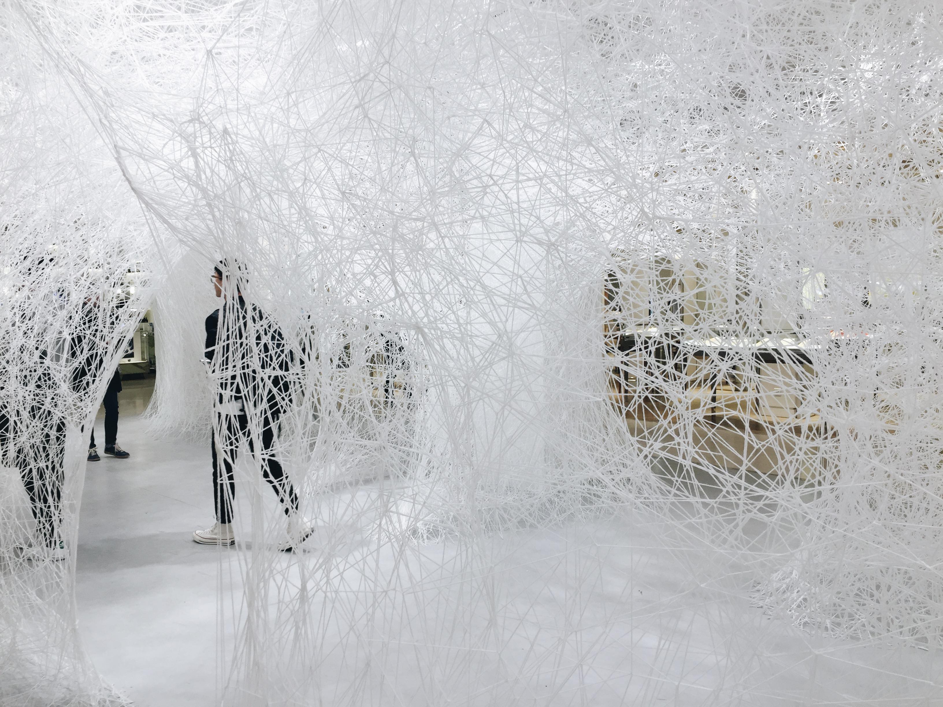 The installation artwork by Japanese artist Shiota Chiharu
