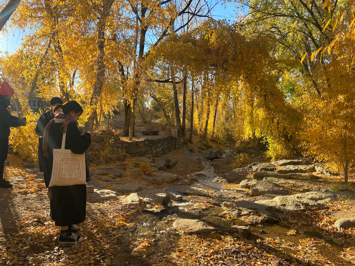 Autumn landscape in November of The Historic Walks of Santa Fe.