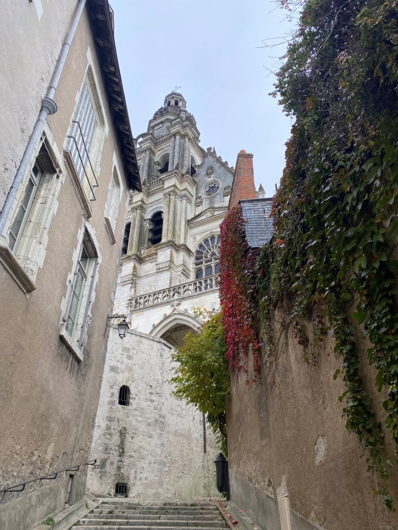 The Blois Cathedral.