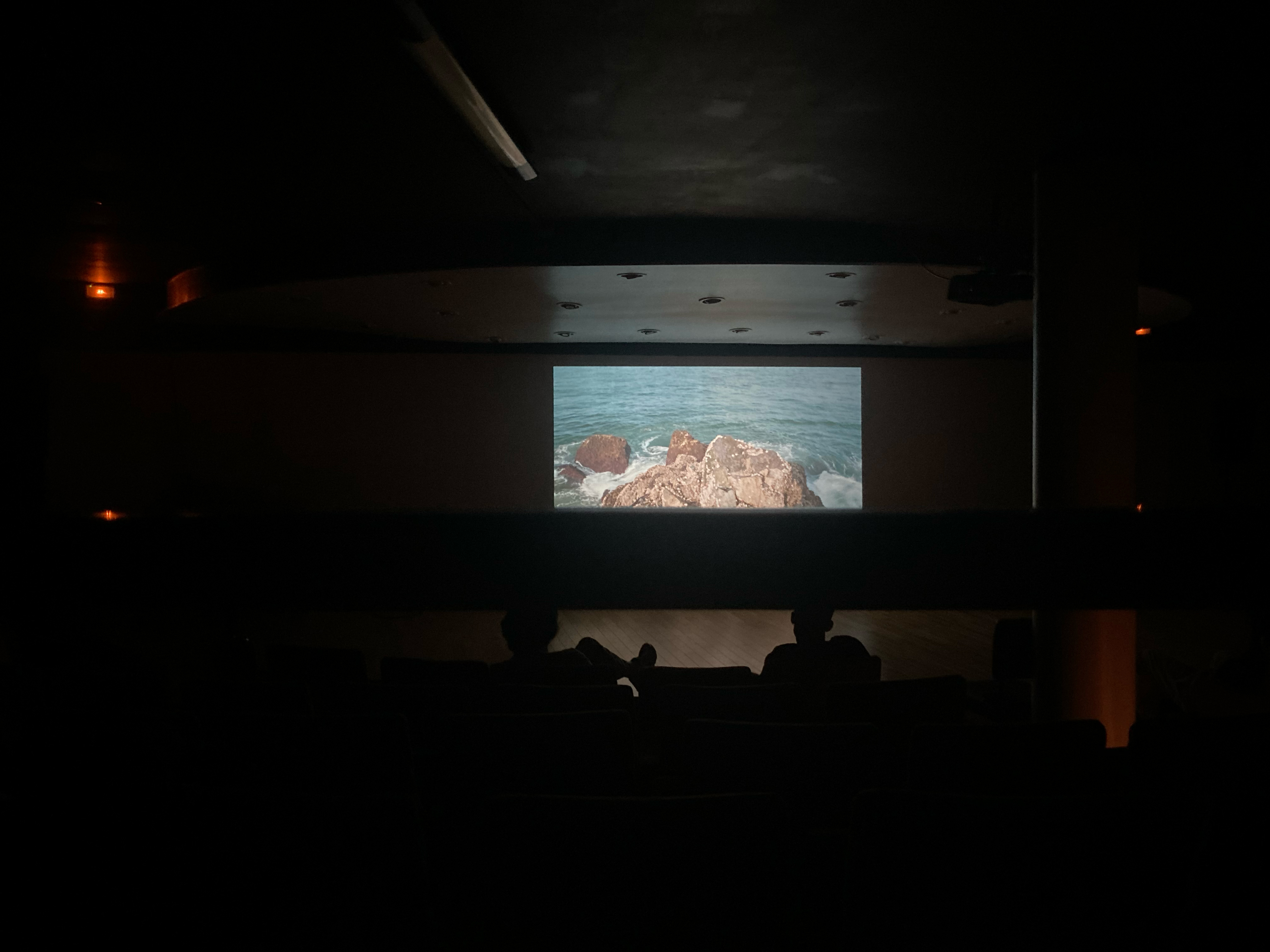 在西帖放映廳放映過去作品