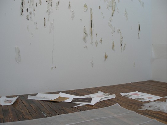 王紫芸作品展覽