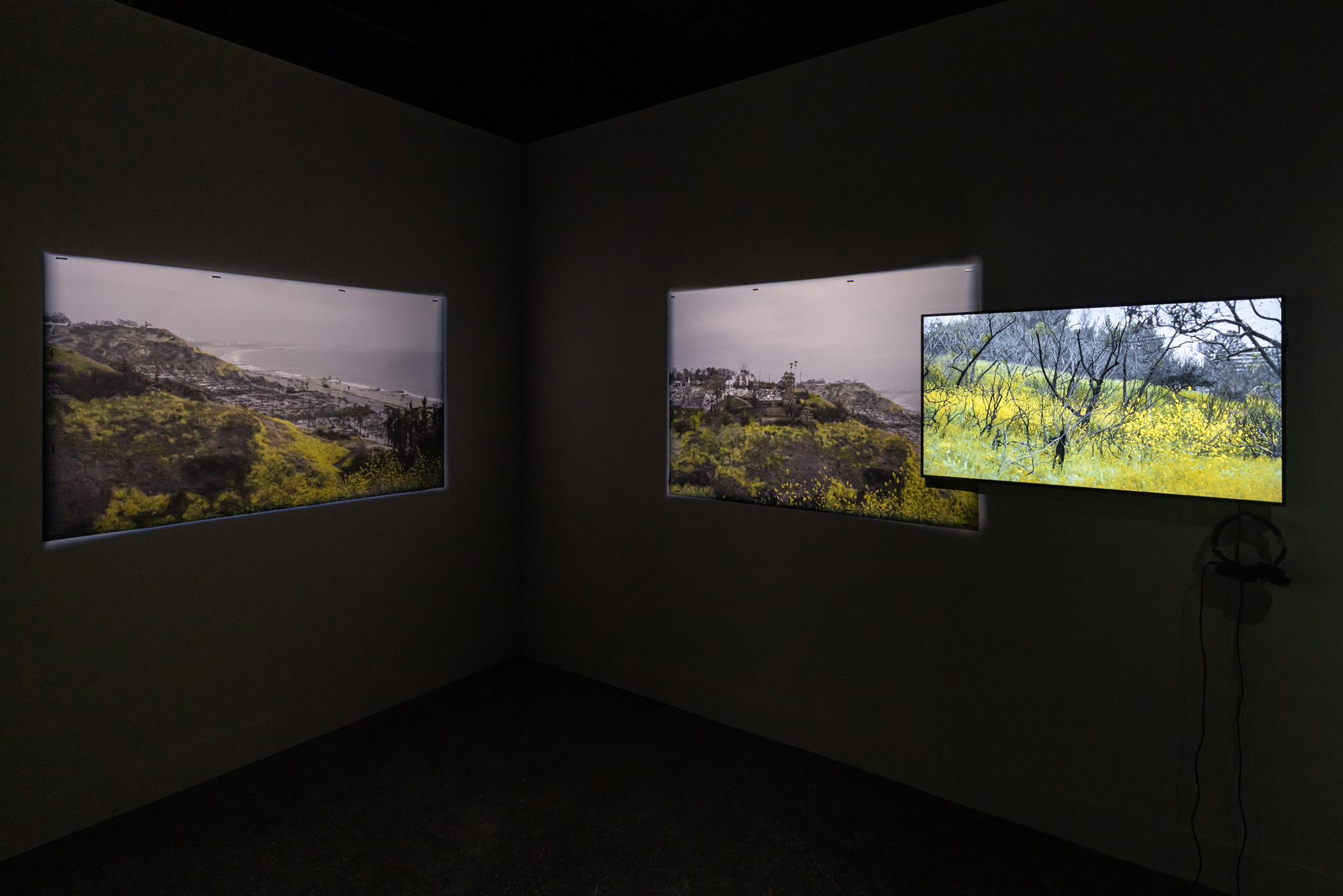 黑芥的寓言（Parable of the Black Mustard）作品裝置照，文化部25屆駐村藝術家聯展《The Artworlders：藝世界漫遊》，臺灣當代文化實驗場2