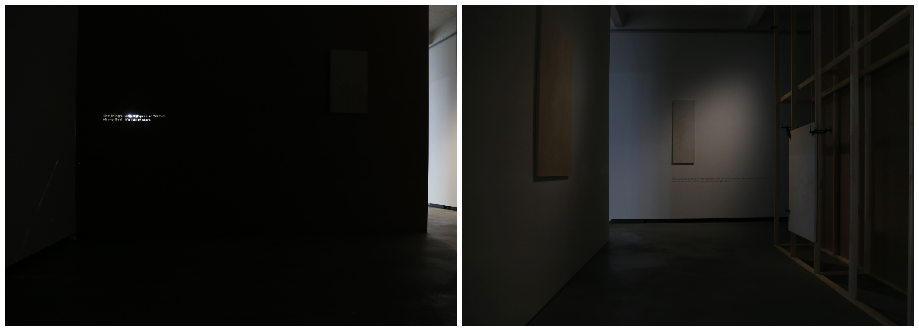 Presentation of residency project Phototaxis &ndash; installation view